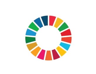 UN-REDD Programme 2021-2025 image-21