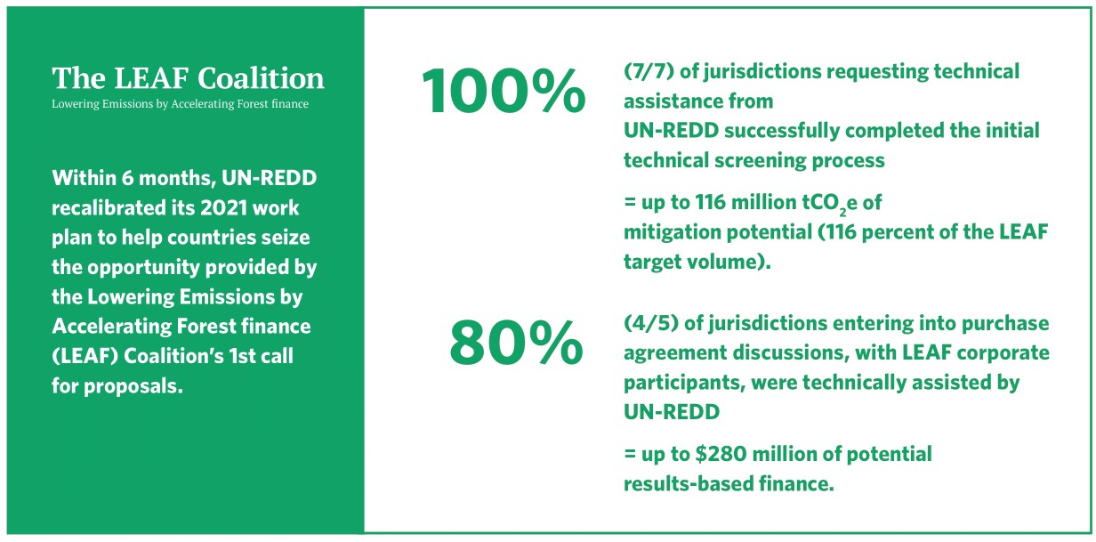UN-REDD Programme 2021-2025 image-22